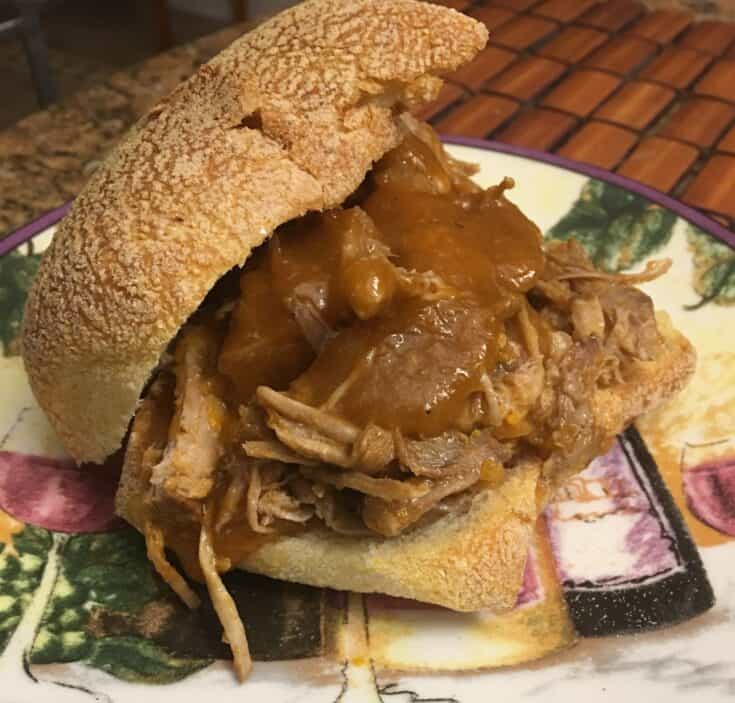pulled pork on a plate