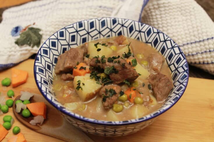 Beef Stew in a soup bowl