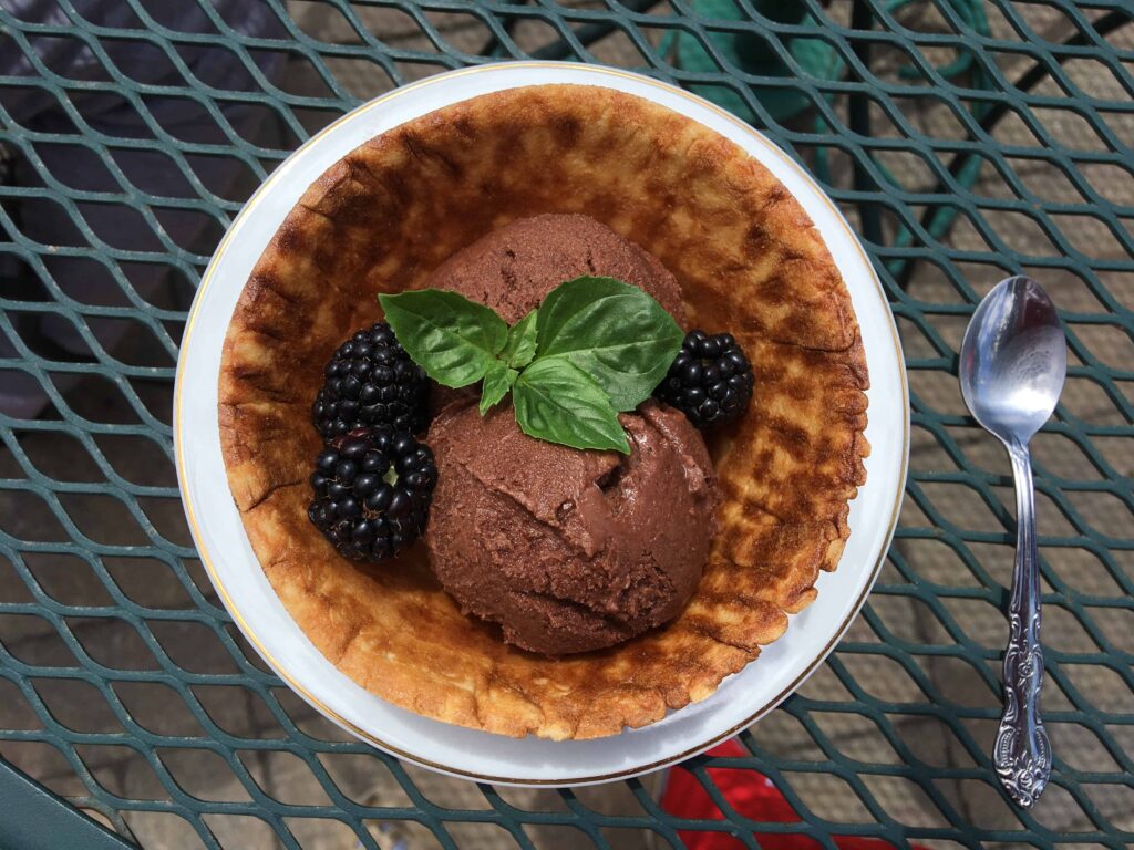 Chocolate Gelato in a bowl