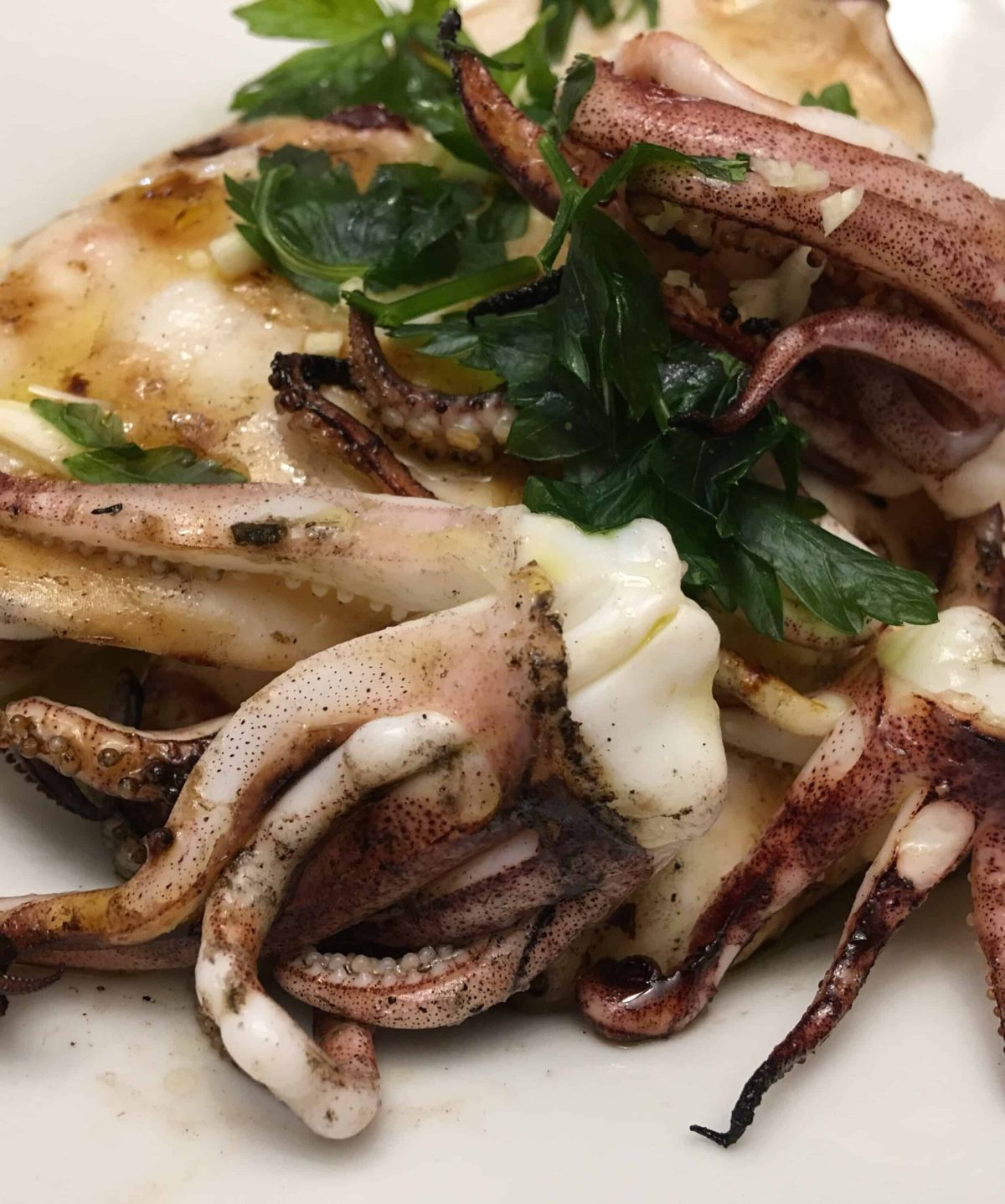 Grilled Squid Calamari on a plate