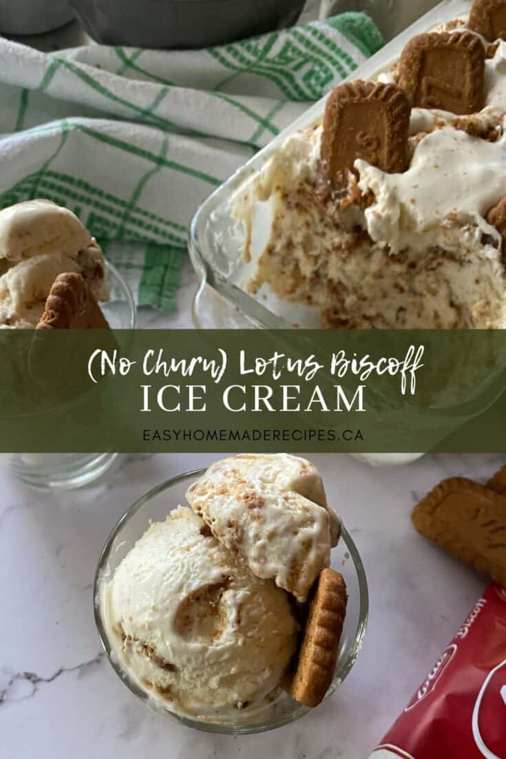 Homemade Biscoff Ice Cream Recipe