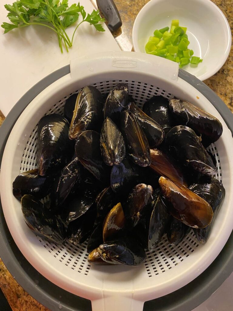 mussels draining in a white collander