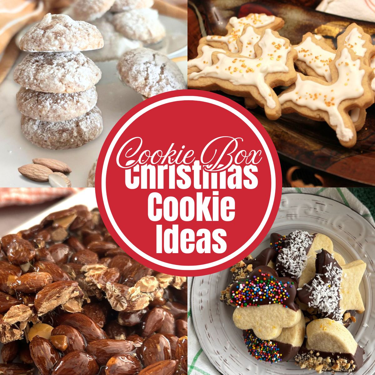 Christmas Cookie Recipe Ideas