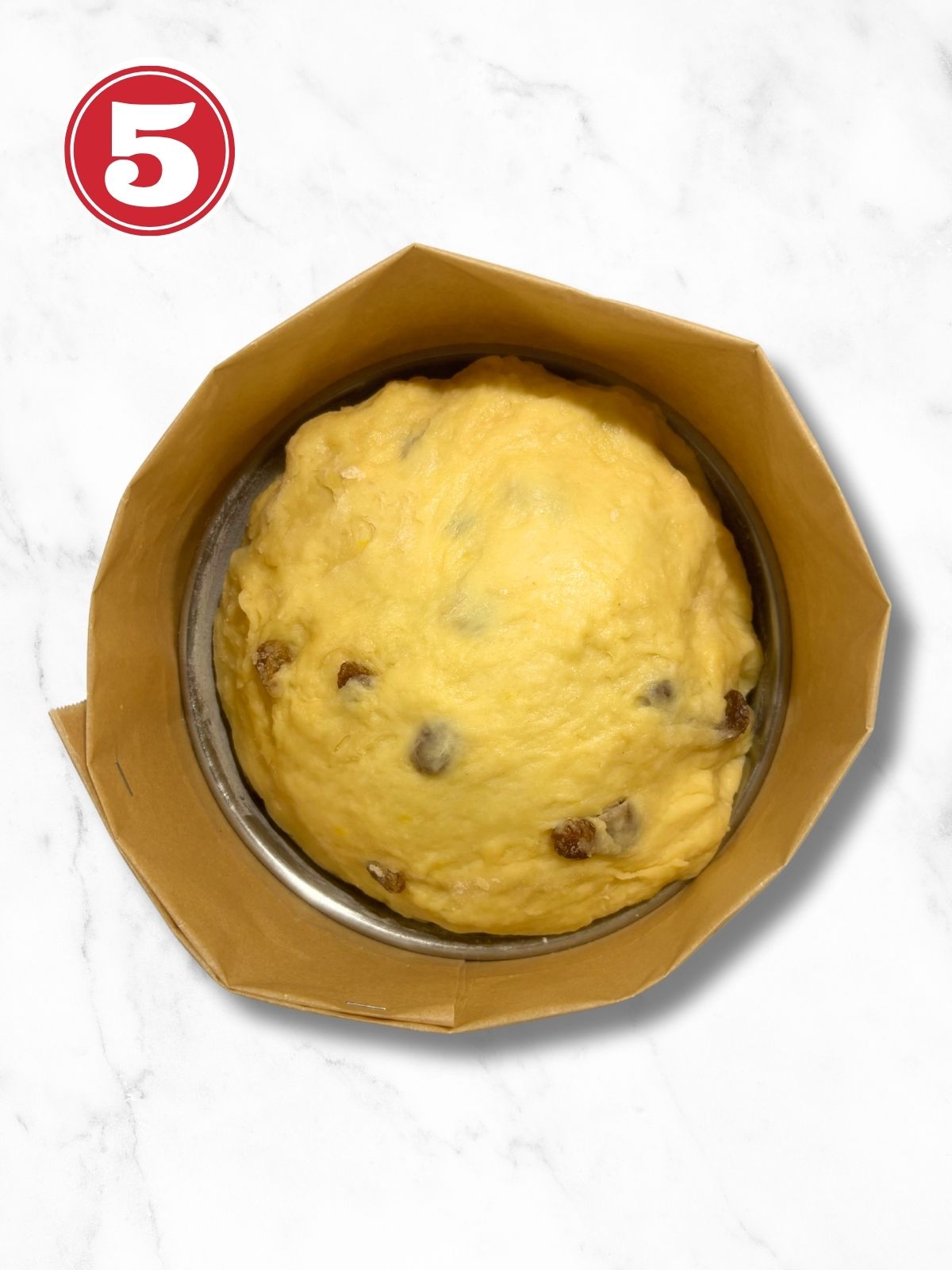 panettone dough in a home made panettone baking pan